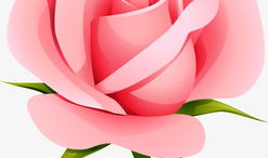 漫画玫瑰花图片,漫画中的浪漫瞬间